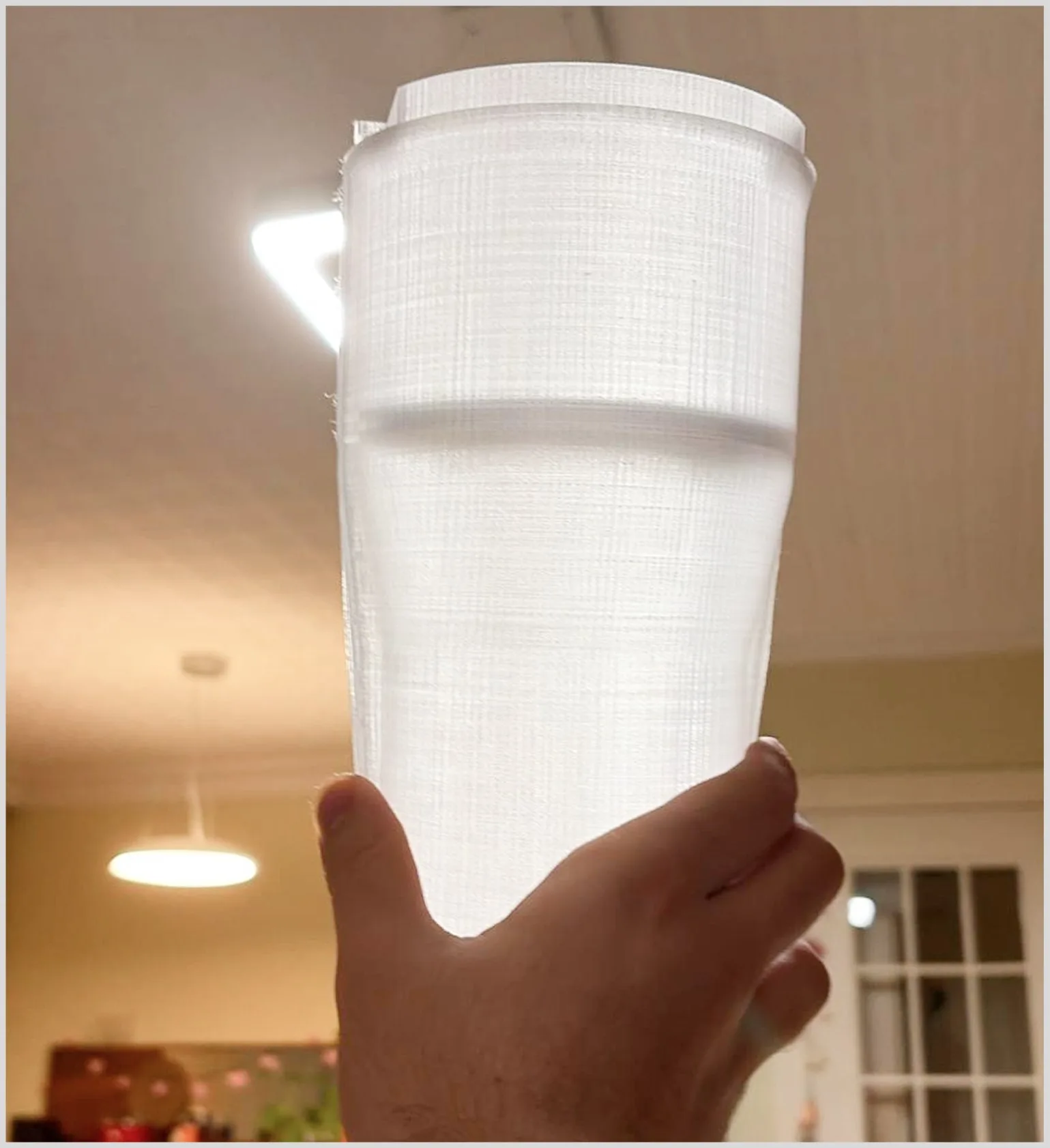 Luma — translucent printed dust chamber held up to a light